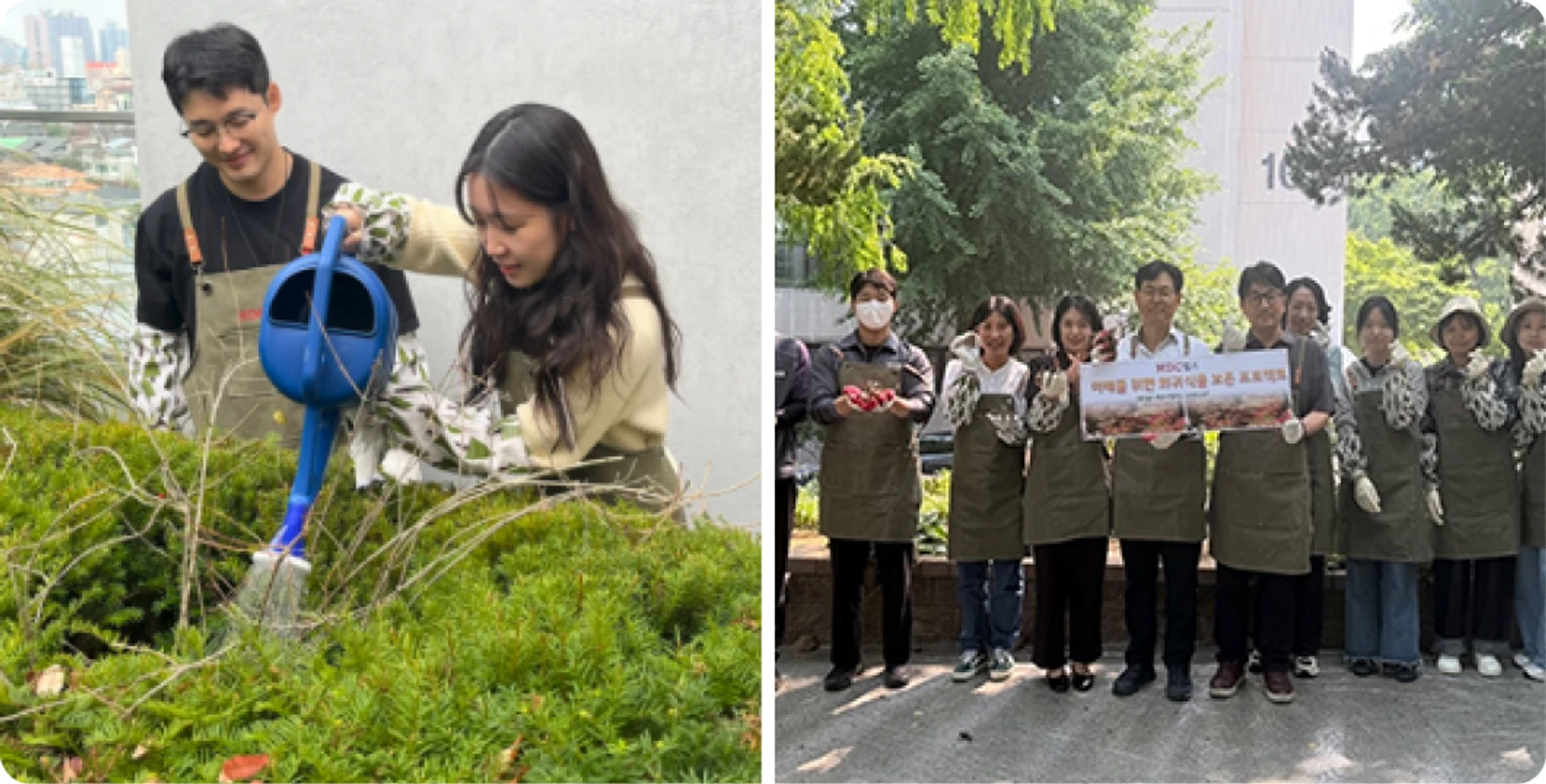 HDC LABS Green Project planting activities