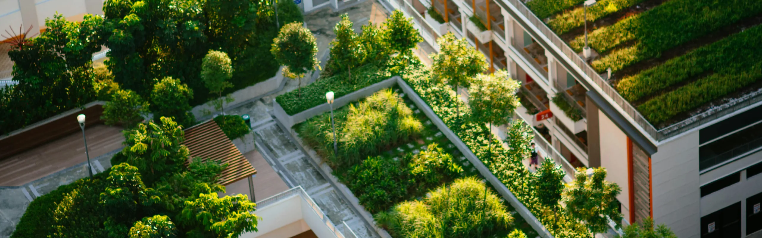 View overlooking greenery and building rooftops